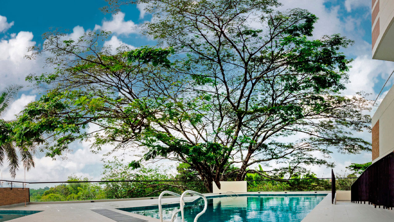 Render del proyecto Matisse, donde se aprecia la piscina y la torre de fondo junto con un gran árbol